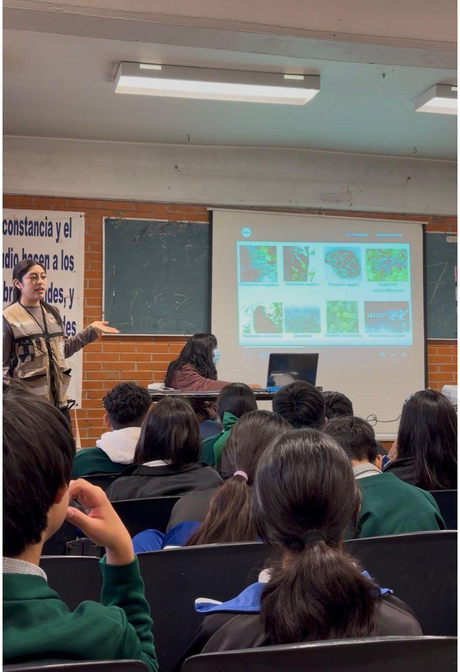 Taller ambiental 2