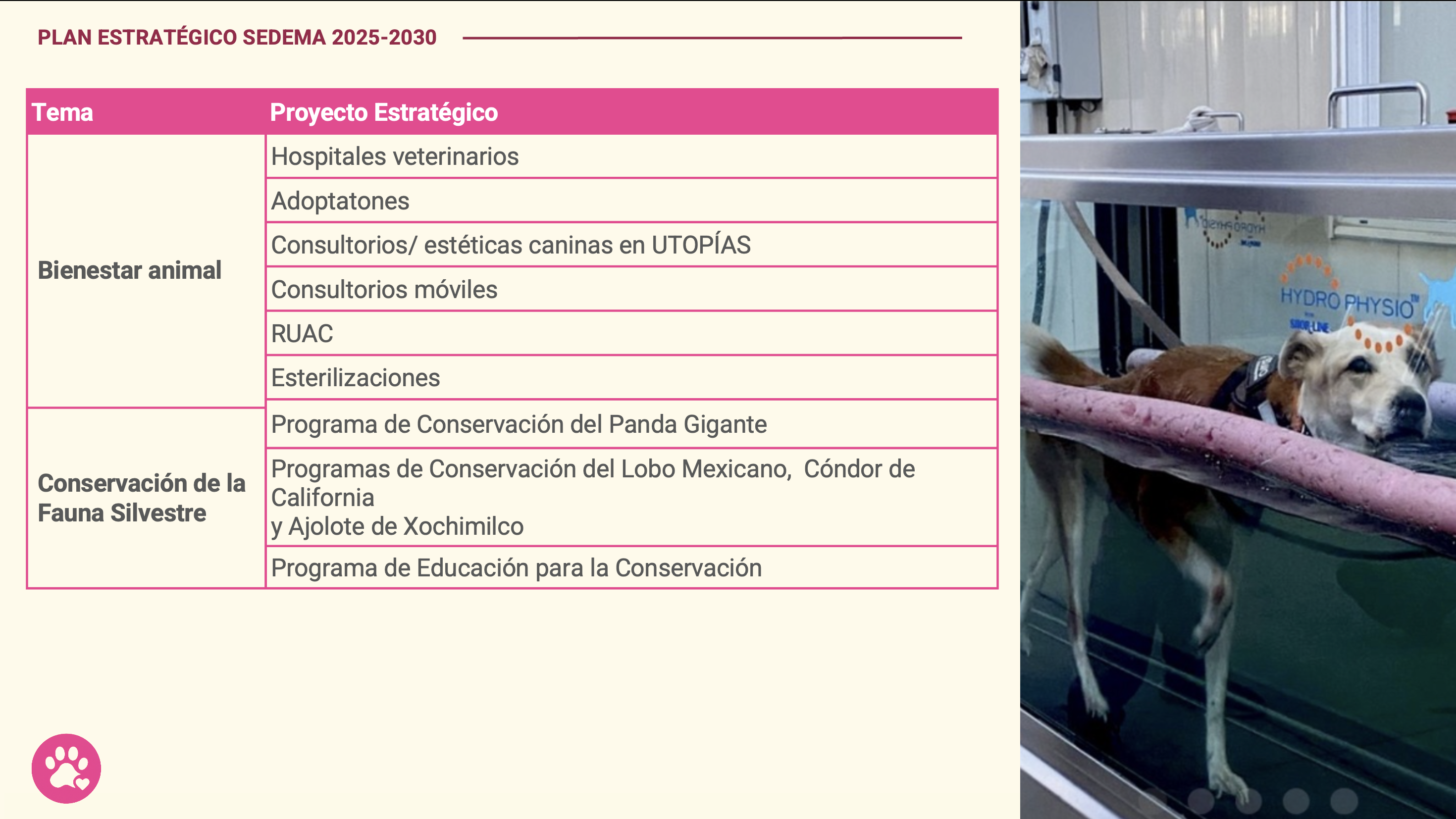 Esquema del eje 4: Bienestar Animal y Protección de los Seres Vivos